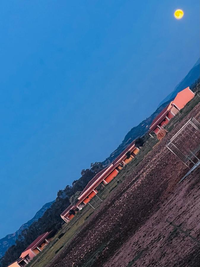 Tenute Venafiorita Loiri Porto San Paolo Exteriör bild